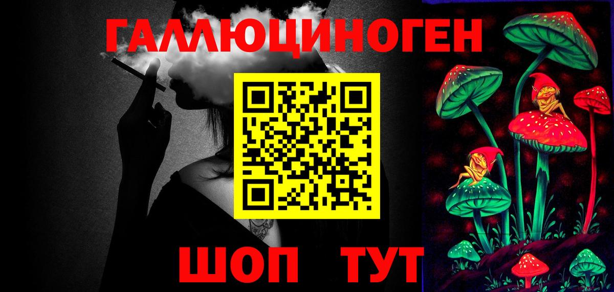 купить   Псилоцибиновые грибы GOLDEN TEACHER  Вход с VPN  Галлюциногенные грибы Psilocybe  Мирный 